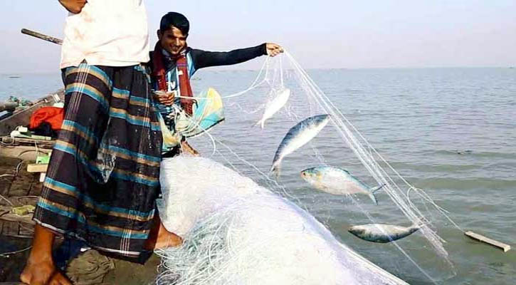 মা ইলিশ রক্ষায় নদীতে ২২ দিন জাল ফেলা নিষিদ্ধ